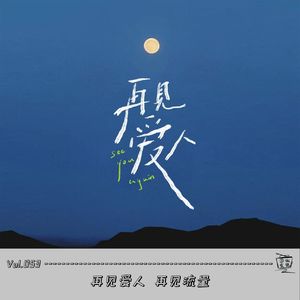 Vol.053：再见爱人 再见流量