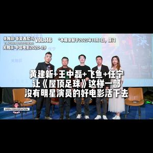 黄建新+王中磊+飞鱼+任宁:《屋顶足球》没有明星的好电影如何活下去 - 146