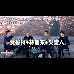 2023「平遥现场」Day 7 收官对话:贾樟柯+林旭东+吴觉人 - 145