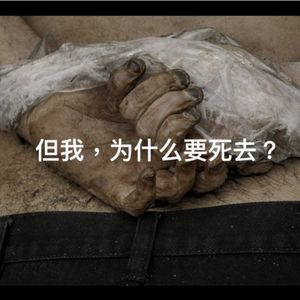 关于战争的诗——如果你满意,我们也满意;但我为什么要死?战争与结束+损失+弈棋者