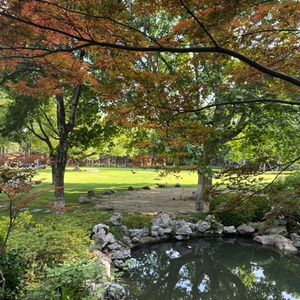 第132讲 完全清醒晨间三部曲