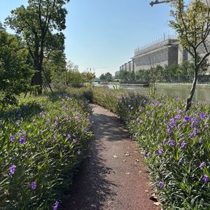 第128讲 你的驱动力从哪儿来？