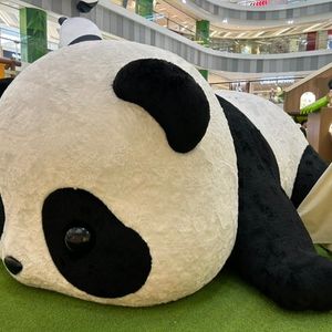 第122讲 舒适区发展区挑战区