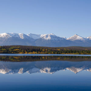 14. 我遛妈咪出去玩，不哭真的很困难