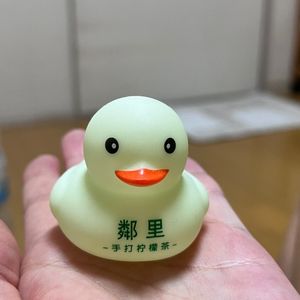Vol11 一起来显化一只小黄鸭&依旧是清理旧信念的一天哦