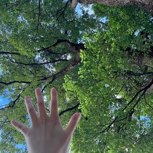 Vol18 简单聊聊日语&语言也是风水啊|新思想运与吸引力法则