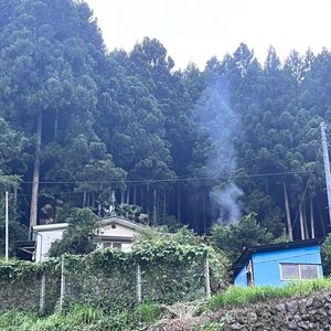 Vol09 感恩来自奥多摩森林的巨大力量&清理来自父母的担忧与负面情绪