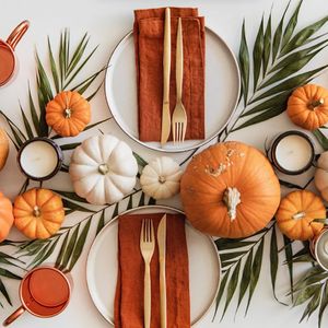 感恩节礼物:零极限见证冥想 身心轻盈 自在放松