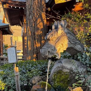 Vol71 春分前的风水能量小调频｜显化了一场意外的迪拜之旅