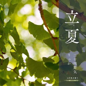 Vol74 立夏风水小调节｜夏季养生：万物繁荣身心安定