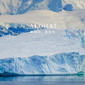 Vol42 壬戌月使用指南｜十天干分析｜用身心去过滤一切