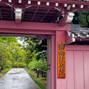 Vol.111 生命的扩张|关于回向、发愿与意识的练习