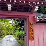 Vol.111 生命的扩张｜关于回向、发愿与意识的练习