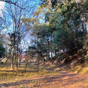 Vol57 癸卯年甲子月运 灵性是工具 辅助我们好好生活