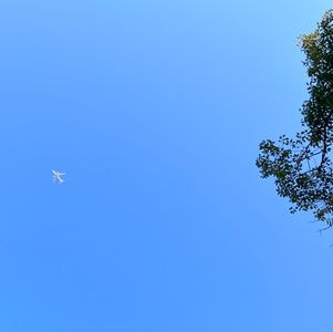 Vol70 立春风水小调节｜春季养生：青龙破土冲云霄