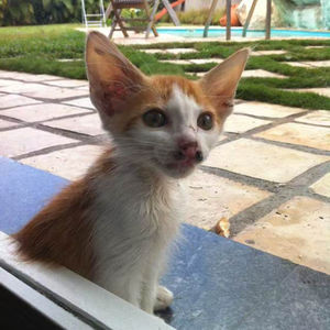 2013-2015:我在委内瑞拉的这两年