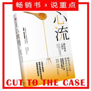 心流：最优体验心理学 | 超级畅销书解读