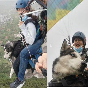 0120 狗狗给主人带来飞行的勇气~滑翔伞飞行十五分钟你也来体验一下吧！