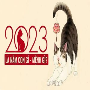 0110 2023年是兔年也是“猫年”是这样传来的你信吗