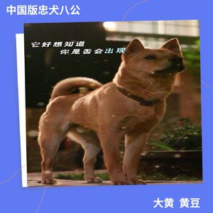 0118 今年中华田园犬第一次走上电影影评，请准备好擦脸巾奥！