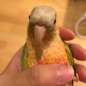 切片艺术|No.7 电影站|在巴比肯的灯光里做一场人与城市的梦