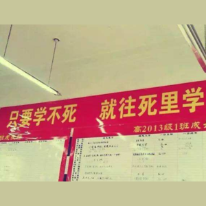 Ep.17-高考口号如何导致精神失常，东亚教育浪费了太多生命