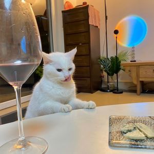 我这样化解尴尬时分。 你呢？