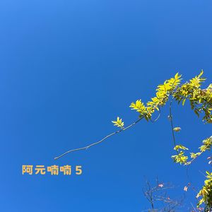 阿元喃喃5