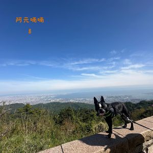 阿元喃喃8