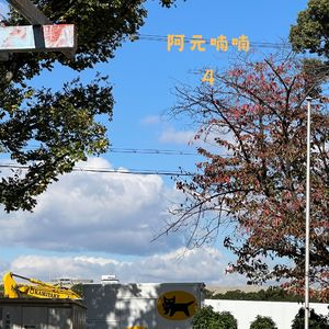 阿元喃喃4