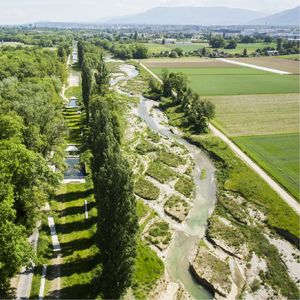 【Cyber Garden 赛博花园03】锤子在手，万物皆钉