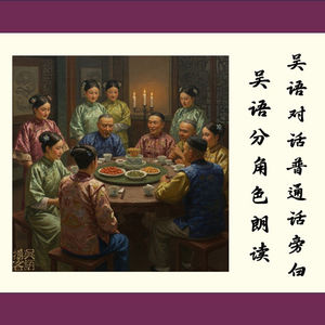 《海上花列传》第四十七回 吴语对话 普通话旁白