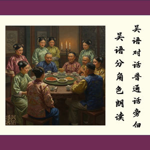 《海上花列传》第四十六回 吴语对话 普通话旁白