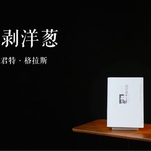 E011 | 剥洋葱
