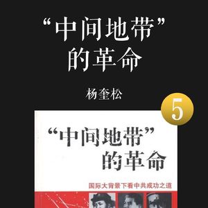 E049 | 中间地带的革命（5）