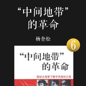 E049 | 中间地带的革命（6）