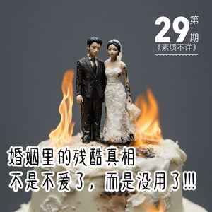 29. 婚姻里的残酷真相|不是不爱了，而是没用了！！！