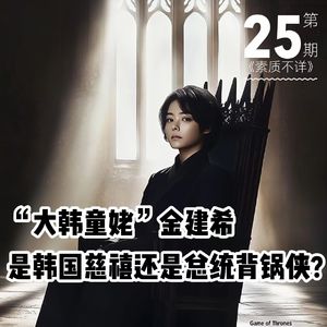 25. “大韩童姥”金建希，是韩国慈禧还是总统背锅侠？