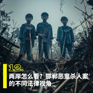 12. 两岸怎么看?邯郸恶童杀人案的不同法律视角