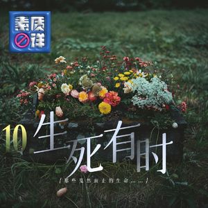 10. 【2024清明特辑】生死有时，那些戛然而止的生命