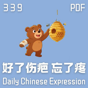 【PDF】 Daily Chinese Expression 339 「好的伤疤忘了疼。」 Chinese podcast -Speak Chinese with Da Peng #汉语俗语和习惯用语