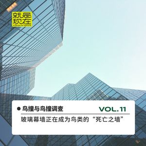 鸟撞：玻璃幕墙正在成为鸟类的“死亡之墙” vol.11
