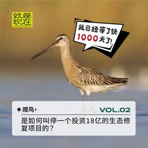 vol.02 观鸟，是如何叫停一个投资18亿的生态修复项目的？