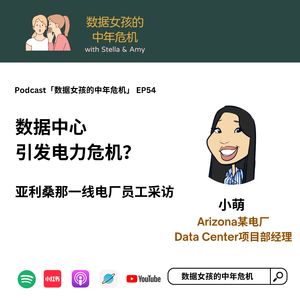 EP54 数据中心引发电力危机？亚利桑那一线电厂员工采访