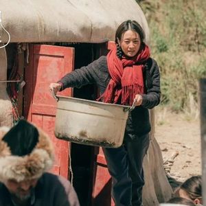 3集《我的阿勒泰》赢过3年《繁花》，马伊琍口碑一夜大涨