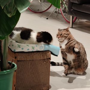 Vol.31 王苏辛×周宏翔×孙一圣×李唐×刘绍禹：关掉滤镜，我们聊几句？