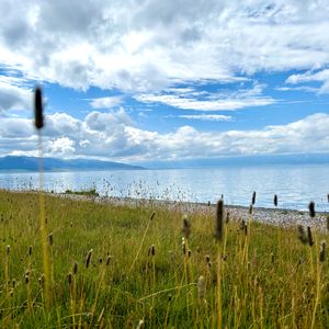 vol.017 [游记]大美新疆初印象，“地邪”之王名不虚传