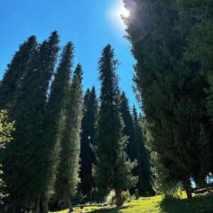 vol.018 上山下河环湖看海游北疆，邂逅独属于你的不期而遇