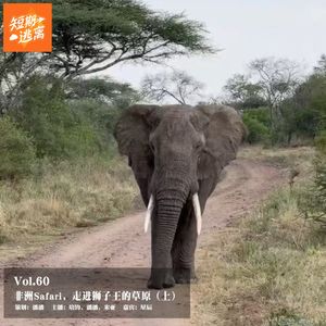 Vol.60-非洲Safari，走进狮子王的草原（上）