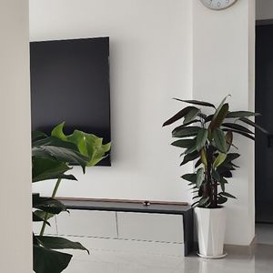 房子为什么涨为什么跌，一次告诉你